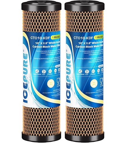 Amazon.com: Pentair OMNIFilter TO1 Carbon Water Filter, 10-Inch